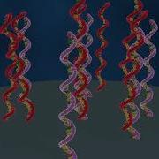 DNA Microarray Explained English Speak