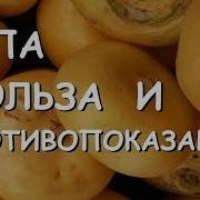 Репа Польза и вред для здоровья