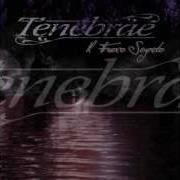 Tenebrae Trailer Il Fuoco Segreto