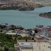 Karanfil Deste Gider