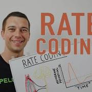 Rate Coding Explained Neuromuscular Adaptation To Resistance Training