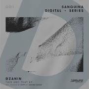 Dzanin Take You There Sepp Remix SDS001