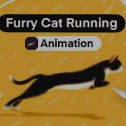Make This Animation Of A Furry Cat Running Step By Step Procreate Tutorial