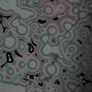 Spherulites Melting And Cooling Polymers
