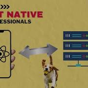 Making Network Requests And Backend API Calls With React Native