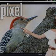 The BEST Way To Use GIGAPIXEL AI As A STANDALONE APP