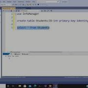 C Database Insert Data In Table Using Visual Studio Object Explorer