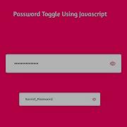 Show Hide Password Toggle Using Javascript With Source Code