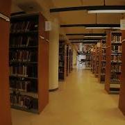 Inside AUC Library