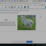 NWEA Practice Test