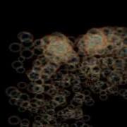Kinect Osc Test Own Patch