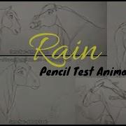 RAIN Pencil Test Animations Spirit Stallion Of The Cimarron