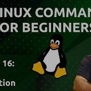 Linux Commands For Beginners 16 Output Redirection