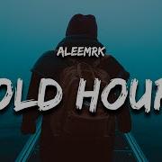 Aleemrk Cold Hours Lyrics