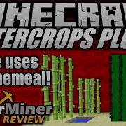 How To Grow More Crops In Minecraft With BetterCrops Plugin