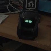 First Go At Programming Anki S Vector