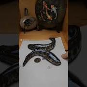 3D Painting Incredible 3D Pencil Drawings