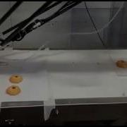 Delta Robot Grabs Cookies Into The Box