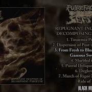 Putrefaction Sets In Repugnant Inception Of Decomposing Paroxysm FULL ALBUM 2022 Goregrind
