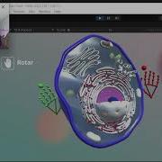 3D Hand Tracking Unity Python OpenCV
