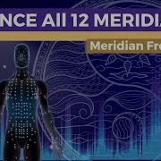 12 Meridians Frequency Treatment Unblock Balance Qi Flow Throughout Meridian System