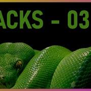 Stacks In Python Reversing The Stack