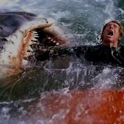 All The Best Shark Attacks From Jaws 4K