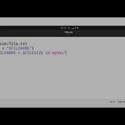 Bash Script To Echo The Size Of A File In Bytes