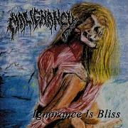 Ignorance Is Bliss Ignorance Is Bliss Demo