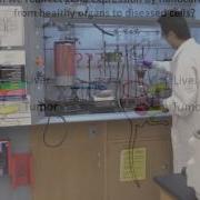 Spatial Control Of Gene Expression By Nanocarriers