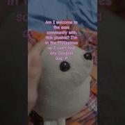 Essa Cute Seal Plushies