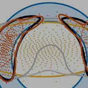 Fusion 2020 Progressive Bayesian Filtering With Coupled Gaussian And Dirac Mixtures