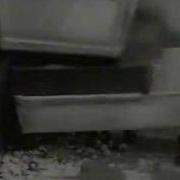 B F Skinner Shaping
