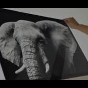 Introducing Microsoft Surface Studio