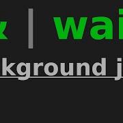 Run Parallel Background Commands In Linux And Wait Until They Complete