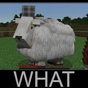 Minecraft Wait What Meme Part 35 Realistic Goat