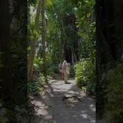 Explore A Historic Fort In Bermuda Go To Bermuda