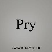How To Say Pry
