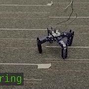 Training A Robot To Walk In 2 Hours Using Evolutionary Computation With No Use Of Simulation