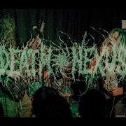 VIOGRESSION Death Nexus 2022 Philadelphia
