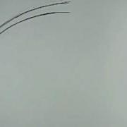 Pendulum Animation Lion S Tail