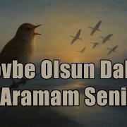 Tövbe Olsun Daha Aramam Seni Anatolian Psychedelic Rock Cover Anatolian Rock Echoes