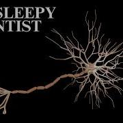 The Nervous System Explained Slowly Science For Sleep