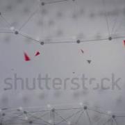 Plexus White Abstract 1 Shutterstock
