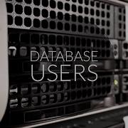What Is Data Base Users And User Interfaces In DBMS