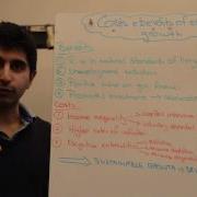 Costs And Benefits Of Economic Growth