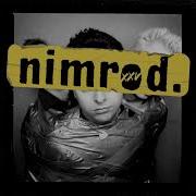 Green Day Take Back Nimrod 25
