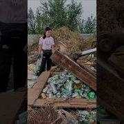 Environmental Warriors In Action Turning Trash Into Gold With Innovative Recycling Ideas
