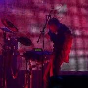Дельфин QT KUBANA 2012