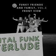 The Funky Bunch Interlude Funky Friends Family Vol 3